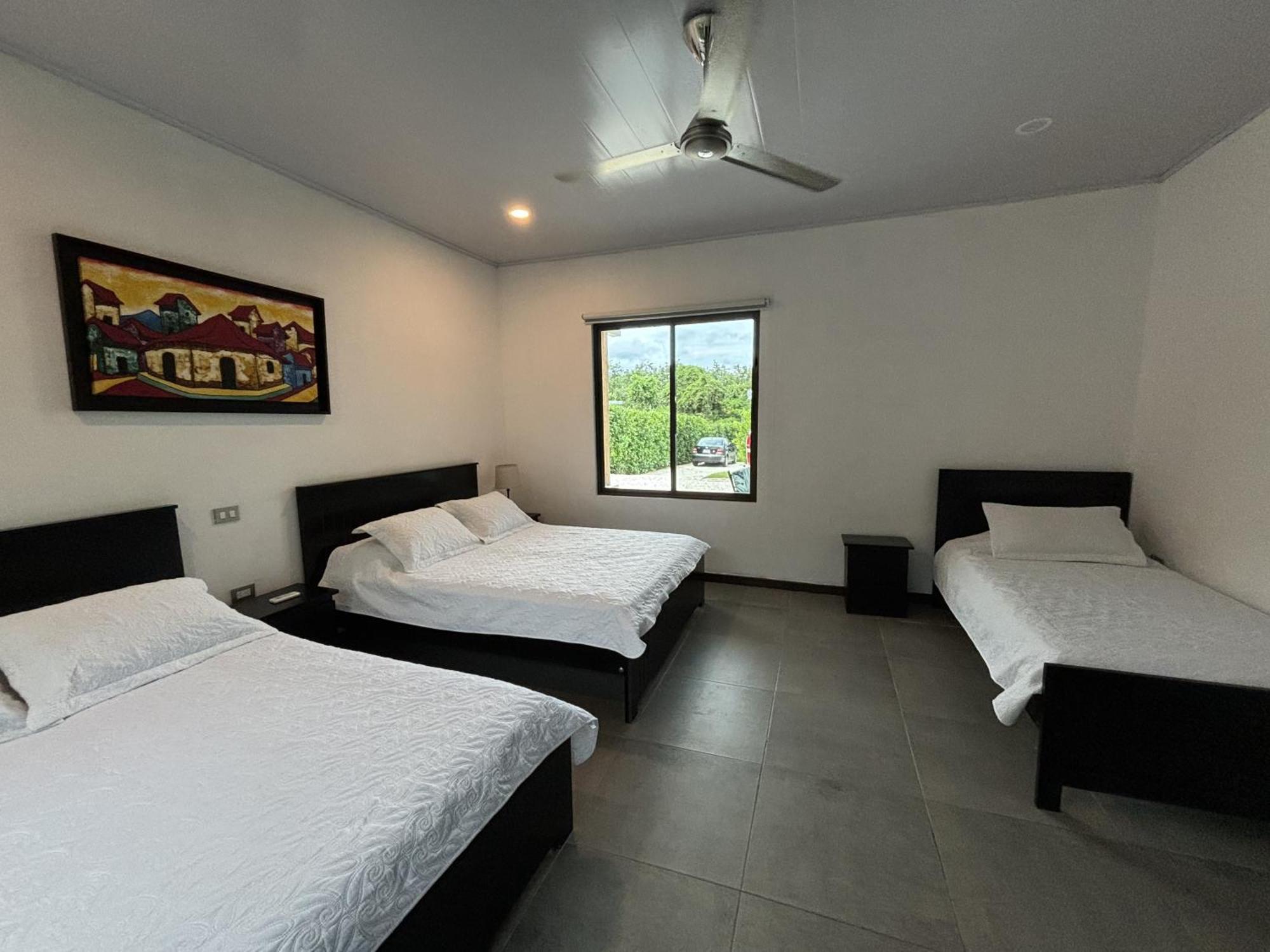 Amazilia Guesthouse Liberia Ngoại thất bức ảnh